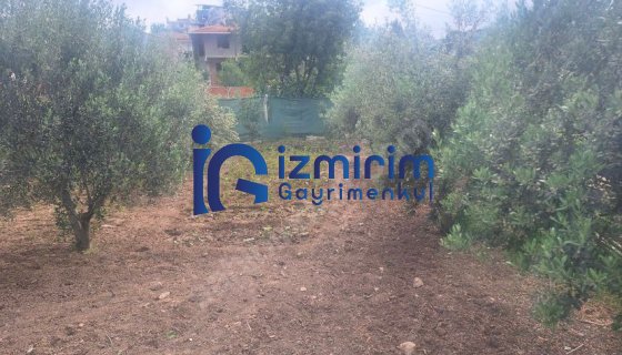 KEMALPAŞA AŞAĞIKIZILCA'DA KUPON ARSA