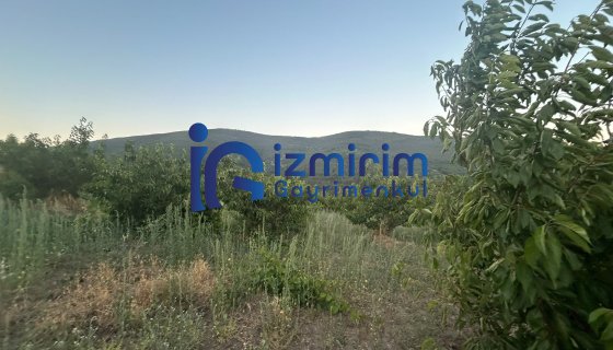 OSMANLAR KÖYÜNDE SATILIK KİRAZLIK
