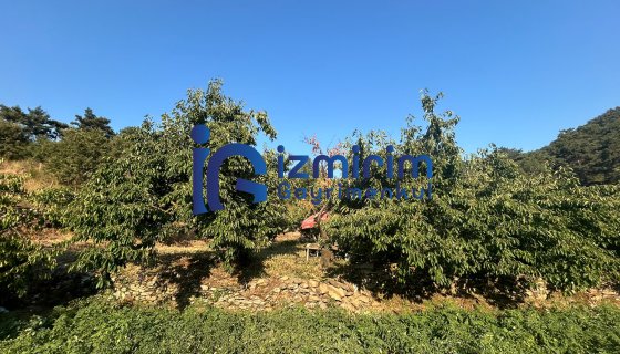 KEMALPAŞA BAYRAMLI'DA SATILIK BAHÇE