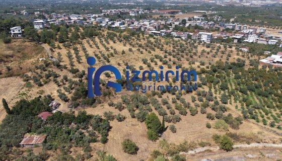 ÖRNEKKÖYDE ESKİ NUMARATAJLI SATILIK BAHÇE VE AHIR